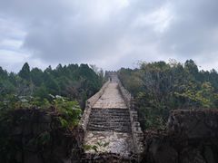 -原山国家森林公园