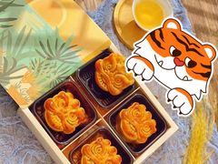 -红瓜子 影视后期 摄影摄像设计 新媒体运营技能培训(宝安校区)