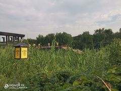 -西安汉城湖景区