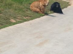 -西安秦岭野生动物园