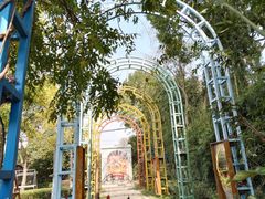 -金山农民画村-枫泾波兰倒置屋