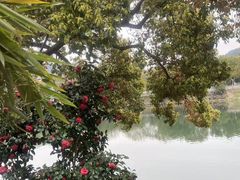 -蒋氏故居