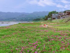 -木洞河街