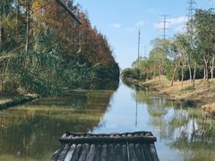 -上海长兴岛郊野公园