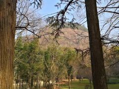 -九曲溪竹筏码头