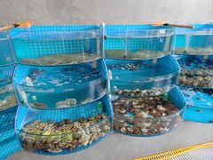 -蓝珊海鲜澳洲和牛自助餐厅