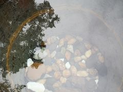 -广东温泉宾馆
