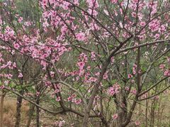 -白鹭湾湿地公园