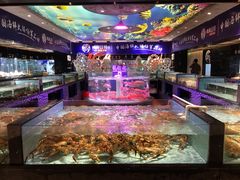 水产区-尚海豆捞(乐虹坊店)