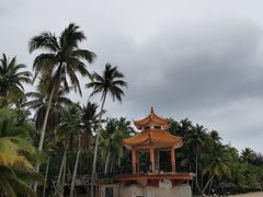 -东郊椰林