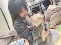 -逗柴咖啡屋·狗咖猫咖宠物桌游