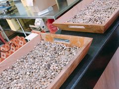 -巴厘岛黄金金兔咖啡工厂