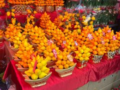 -越秀西湖花市(广州城市广场花卉店)