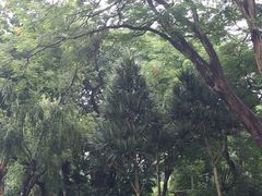 -人民公园(罗湖区)