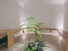 -光作面包Voila Lumiere(中山店)