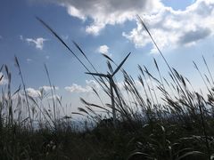 -东白山