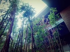景点-东丽湖风景区