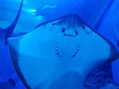 -成都浩海立方海洋公园