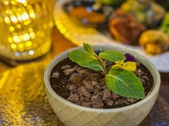 -Shantek象提南亚餐厅&西餐融合Bistro(淮海中路店)