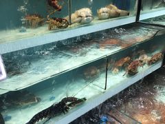 -盒马鲜生(顺义店)
