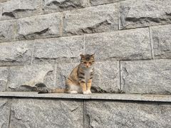 -宝通禅寺