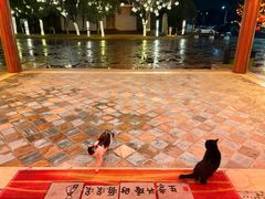 -华山御温泉度假村