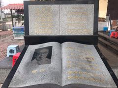 -东兴口岸-中越友谊大桥