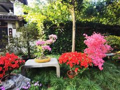 -惠山古镇·寄畅园