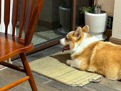 -肥朵食堂(带梦胡同店)