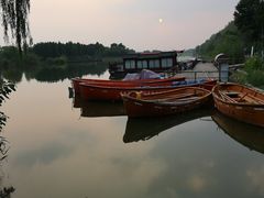 -合肥滨湖国家森林公园