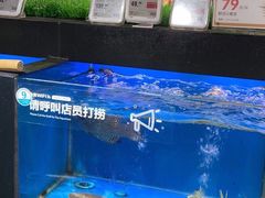 -盒马鲜生(岭南新世界店)