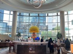 -Plush大堂酒廊(北京金融街威斯汀大酒店)