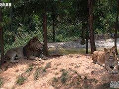 -昆明动物园