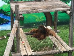 -西霞口神雕山野生动物世界