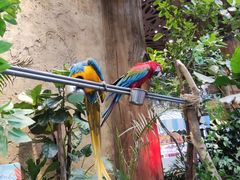 -杭州开元森泊度假乐园