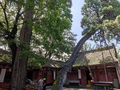 -少华山国家森林公园