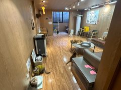 -MOCHA明星猫咖(田子坊店)