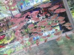 -三旗百汇商品城