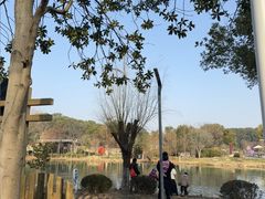 -昆山城市生态森林公园