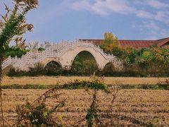 -广富林郊野公园