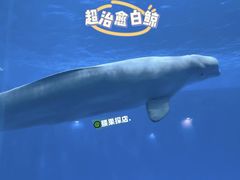 -石林冰雪海洋世界