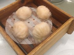 -金翠皇宫粤菜·点心·海鲜(科技园店)