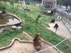 -无锡动物园·太湖欢乐园