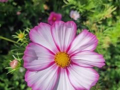 -丽江泸沽湖景区