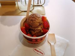 比利时朱古力口味-哈根达斯(天河城店)