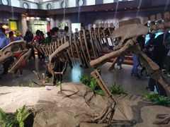 -自贡恐龙博物馆