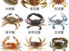 -龙记烤鸭店(新民路店)