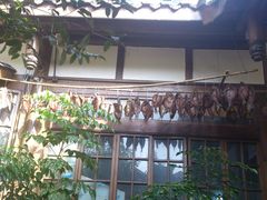 -见山书院