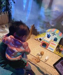 -酷嗒动物文化乐园(cutezoo西溪乐天城店)