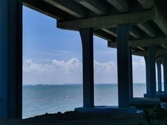 -宝安西湾红树林湿地公园